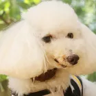 稟(りん)の想い