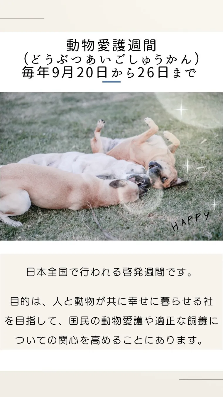 🐾 動物愛護週間イベント（9/20〜26） 🐾