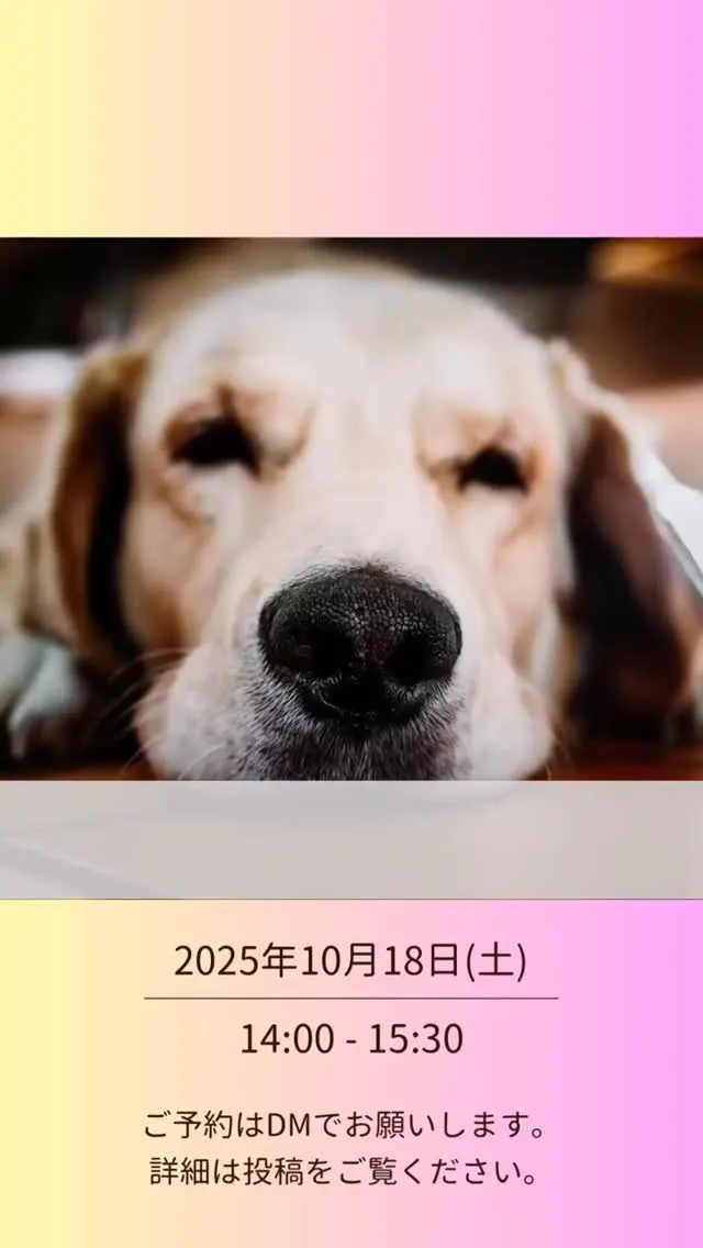 イベント！