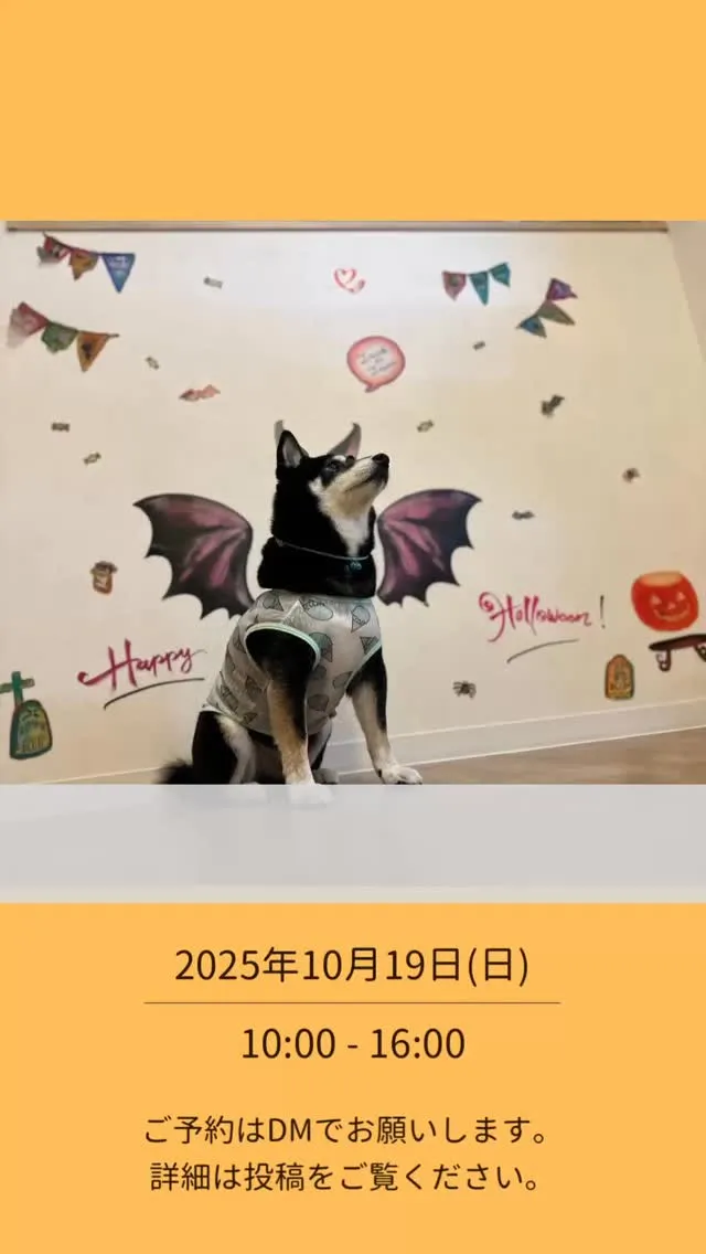 キッズ&ドッグHalloweenワークショップ