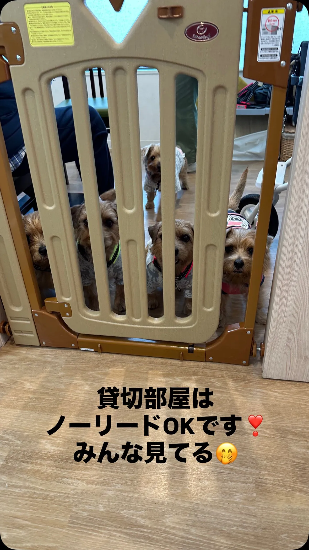 お誕生日会🎂で貸切り部屋をご利用いただきました！