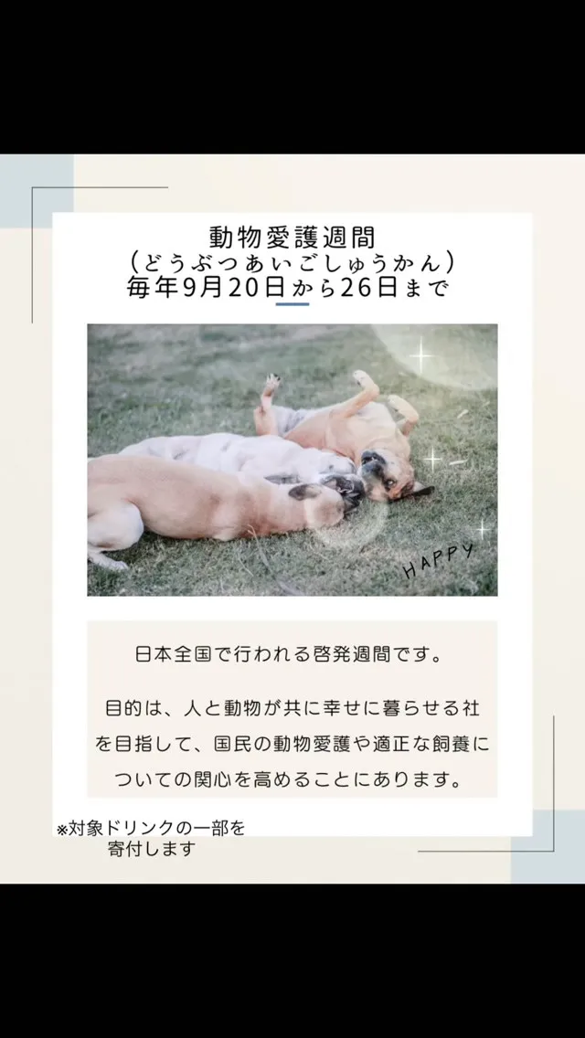 🐾 動物愛護週間イベント 🐾