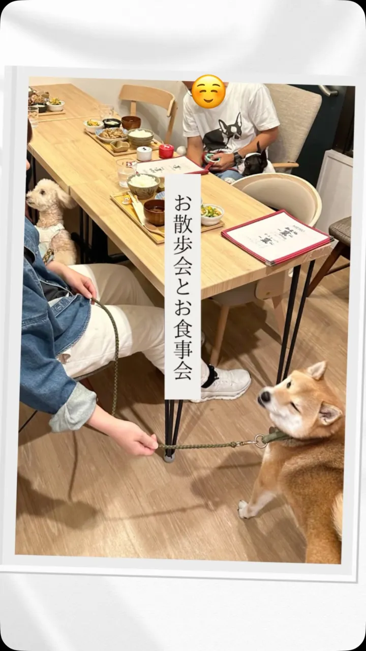 🐾 夜のお散歩会＆お食事会 🌙🍂